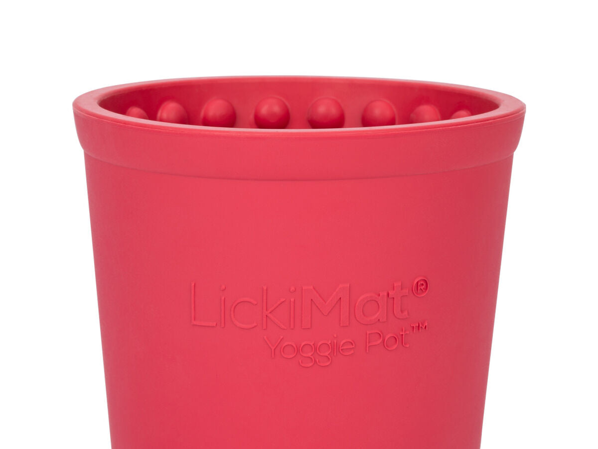 V6H1BE17B1C314303A67543C33442FED2A4R4438127P3