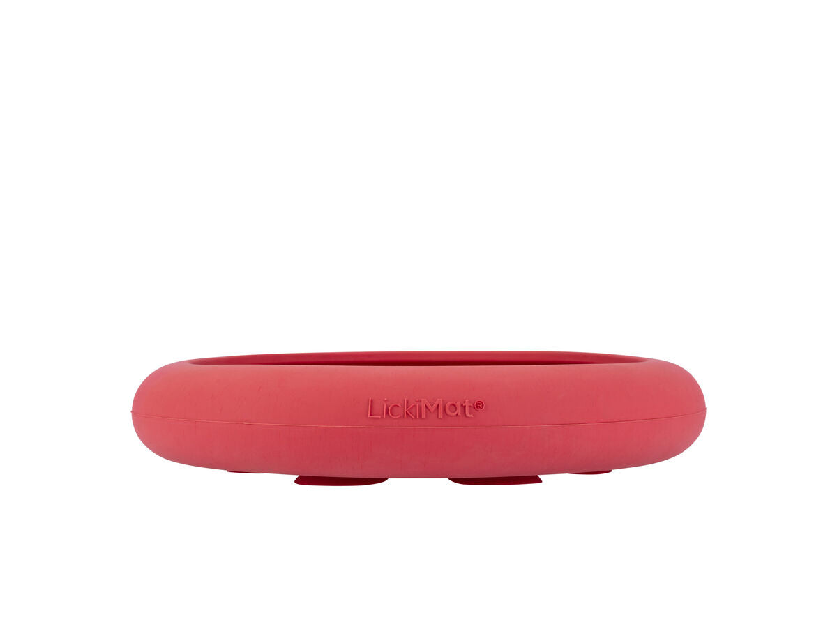 V9H01835E3F4BC7A90AD5BDD5BFB56A2B5DR4951193P2