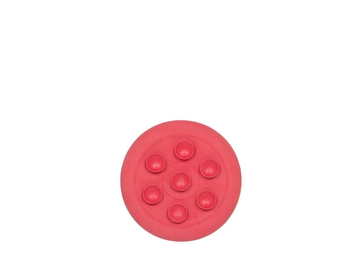 V9H872537B4489EC11070B54933C3CA120AR4951196P5