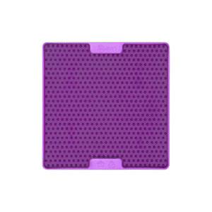 V4HA1975FF0CDC04B00F47CB0B8E9E0392DR4438086P2