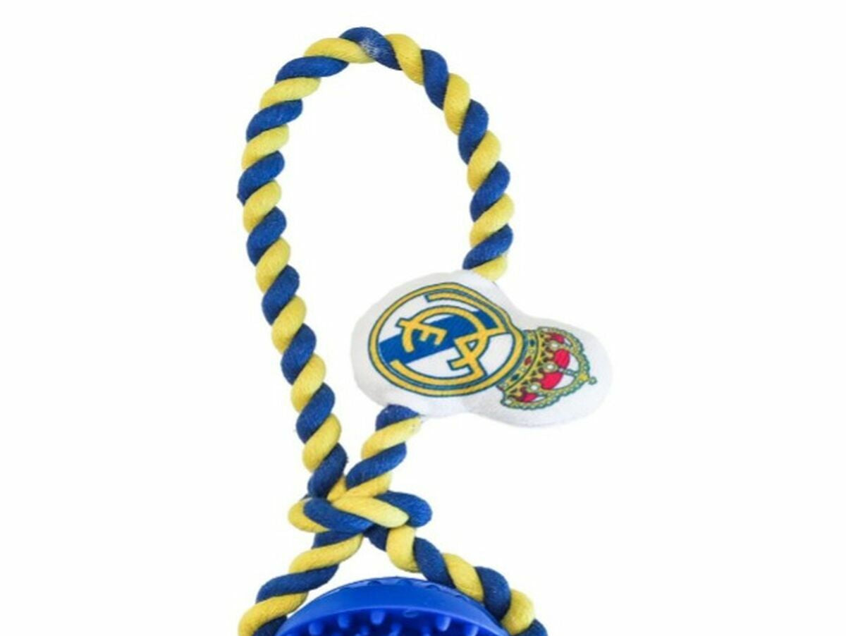 V4H52B0E065D9F9DA3ED696023E495FDE2DR7021576P1