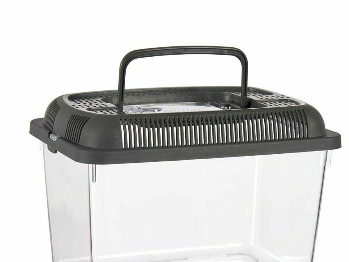 V12HD2FC671091AE7F1A9F87F806A0E94D46R7125411P1