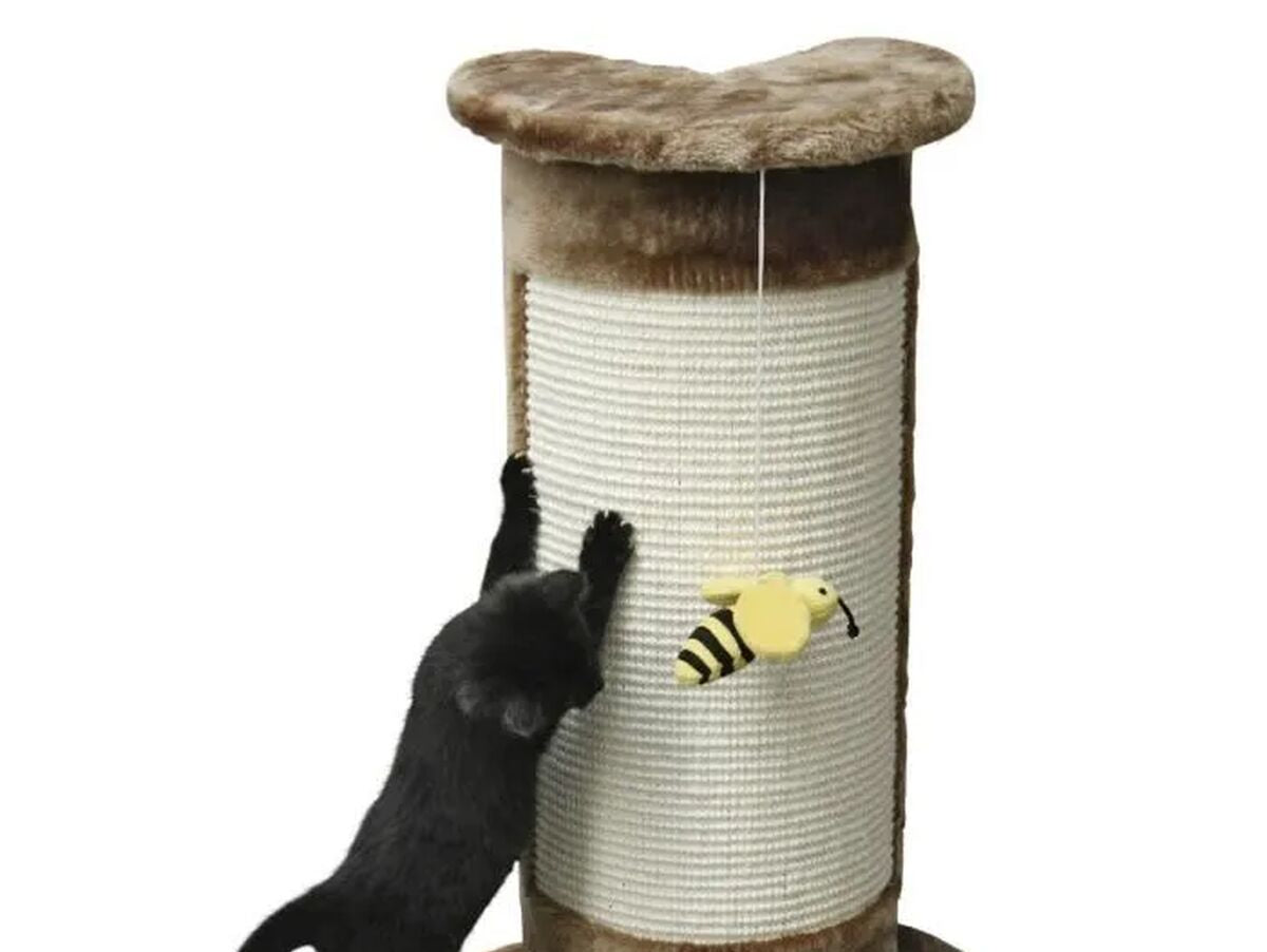 V9HBCBA04AC4423C8B38E2E86D2DE4505AER7190807P1