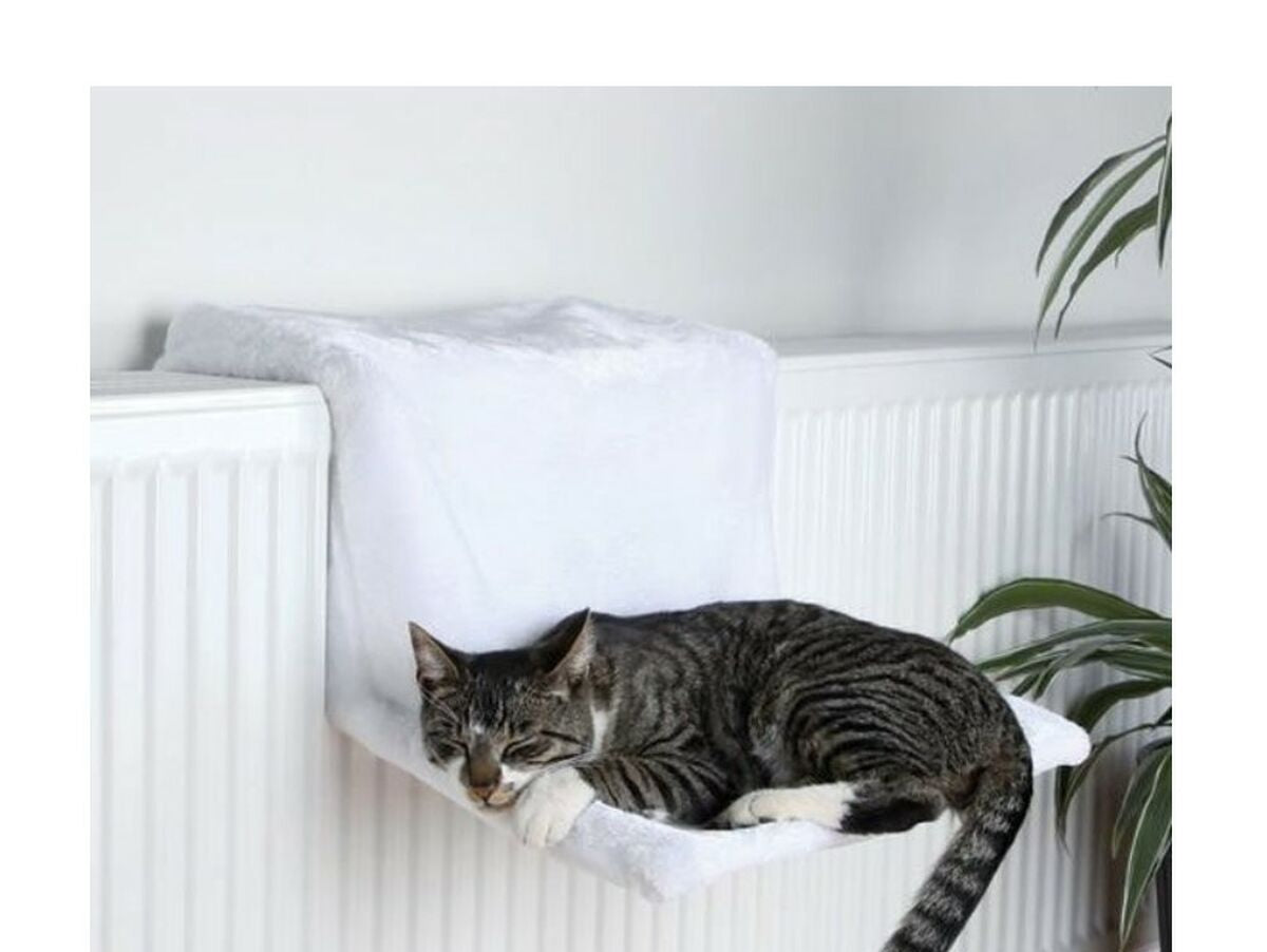 V7H45D8758EB88780EBFCF6897B61ED9AB5R5118438P1