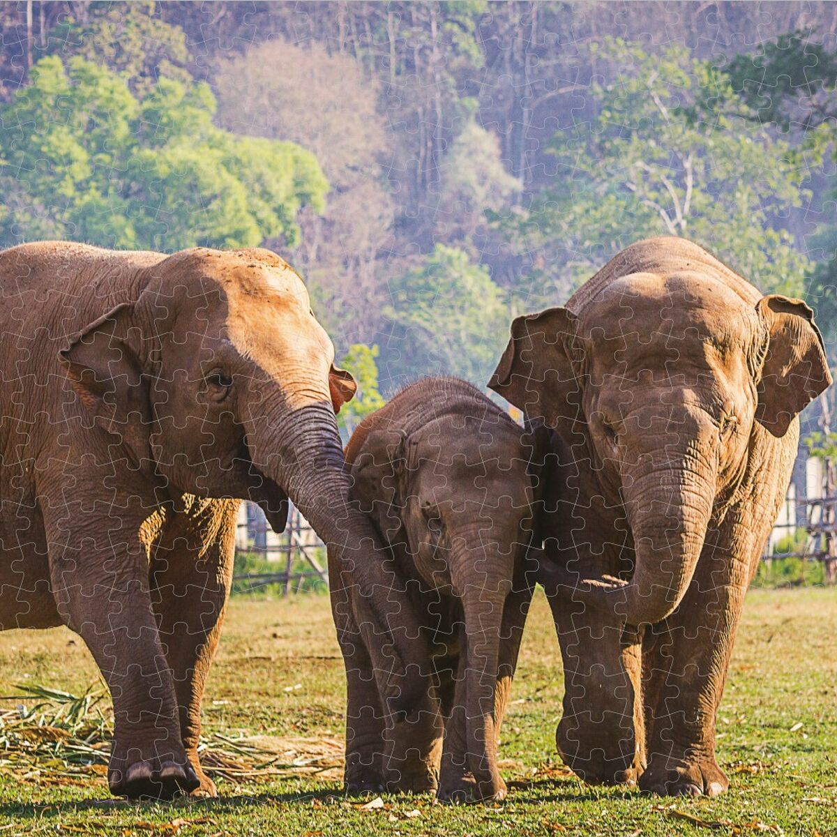 V8HCC8A535919F01AE8519472FAF816D253R5408334P5