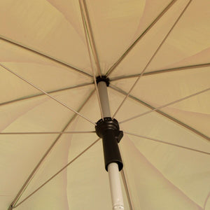 V5H80661823B93775B633F4D3D0836AE1AER5424905P7