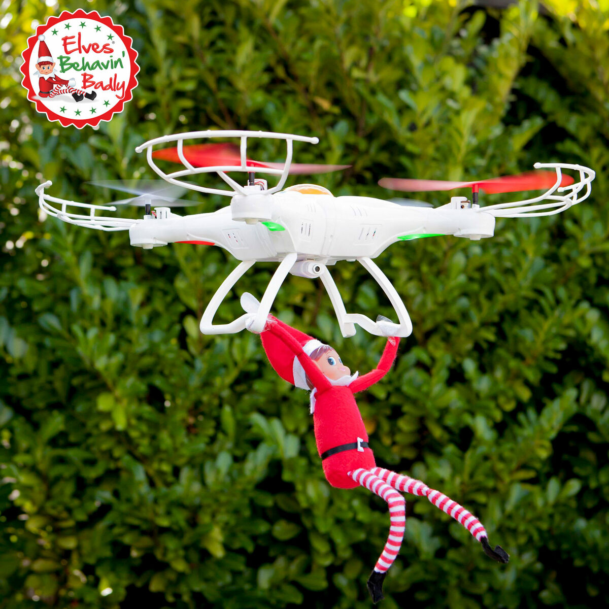 V5HBA1FF616A4ABB7CEF1CAE89DACAAB209R7313836P6