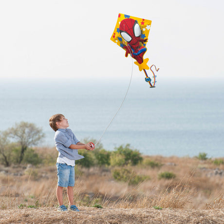 V2H43FAD43139099EE7435A2E912583E5F3R7245191P4