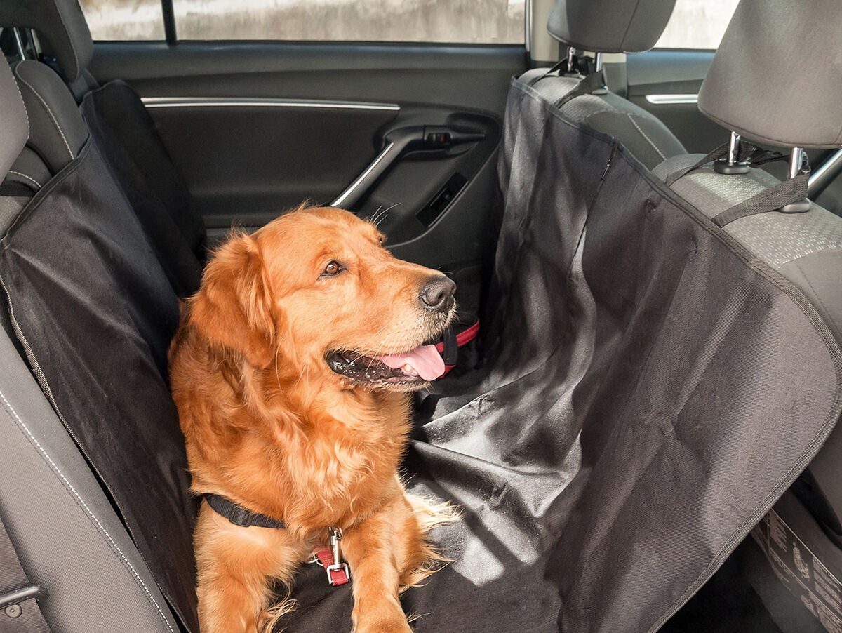 V15HB2365C7A8263BC65E009051C782F87A5R5266415P1