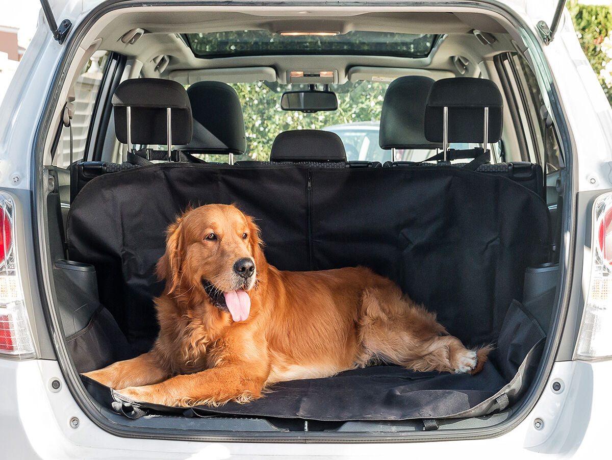 V15HDDF0E419B2D8C4F769FA5AD0F2374CA5R5266418P2