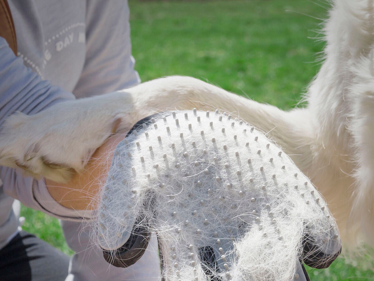 V16H91C70459158E0B643769BD94D069B777R5270954P2