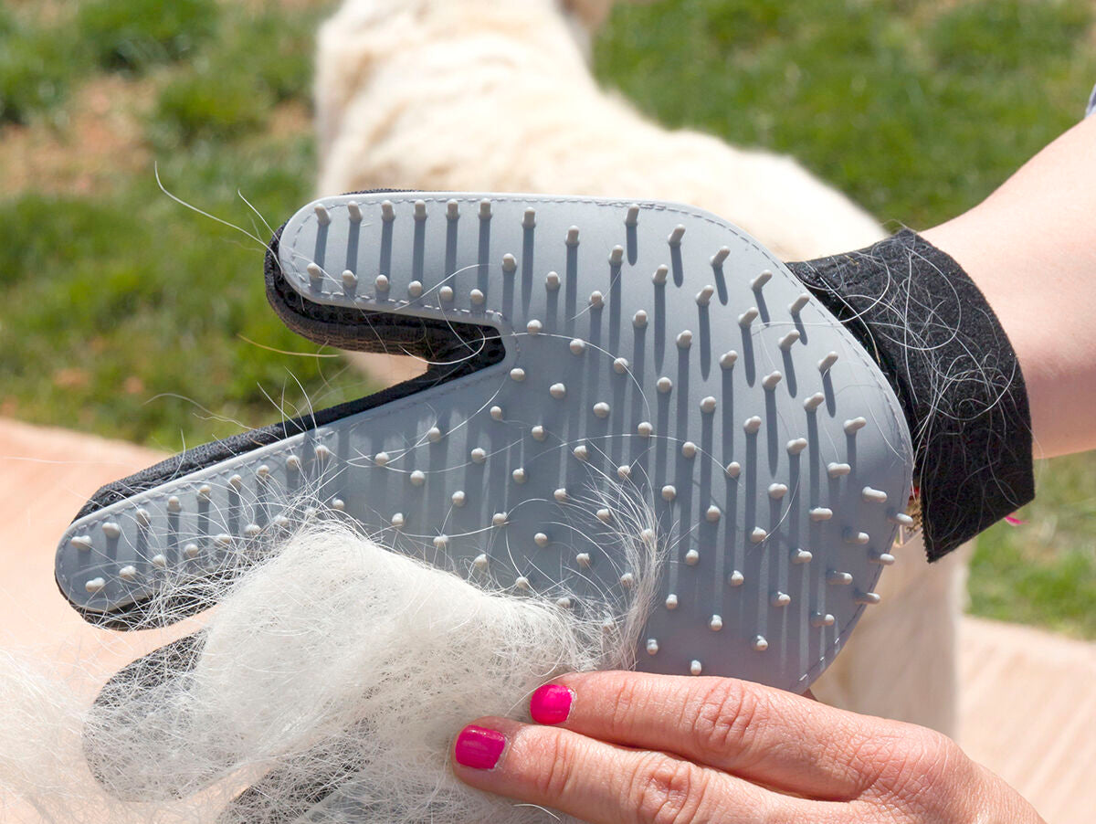 V16HD17A20C2C2C450458F0F0B9DE58F1ABBR5270957P3