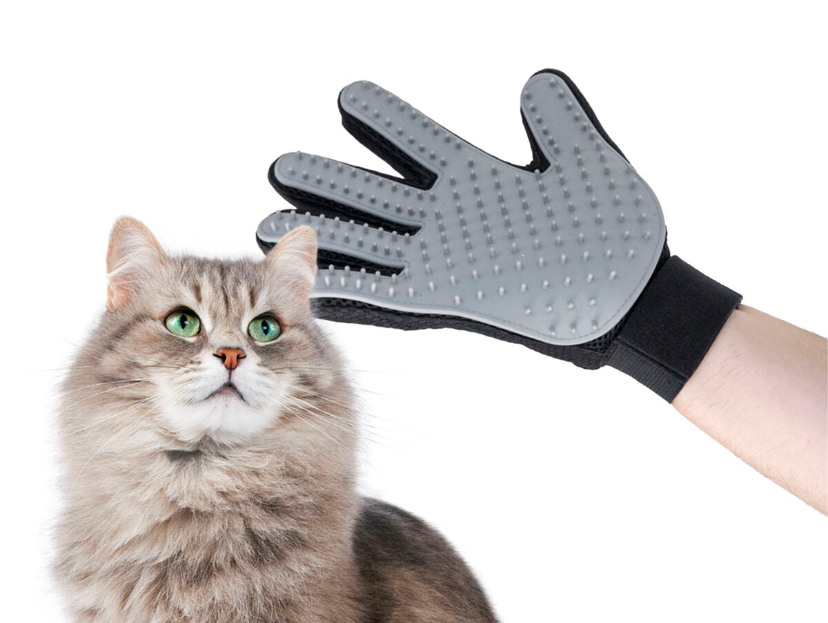 V16HD2AF7E346E90B0E6F3D60A3C39277F7AR5270966P5