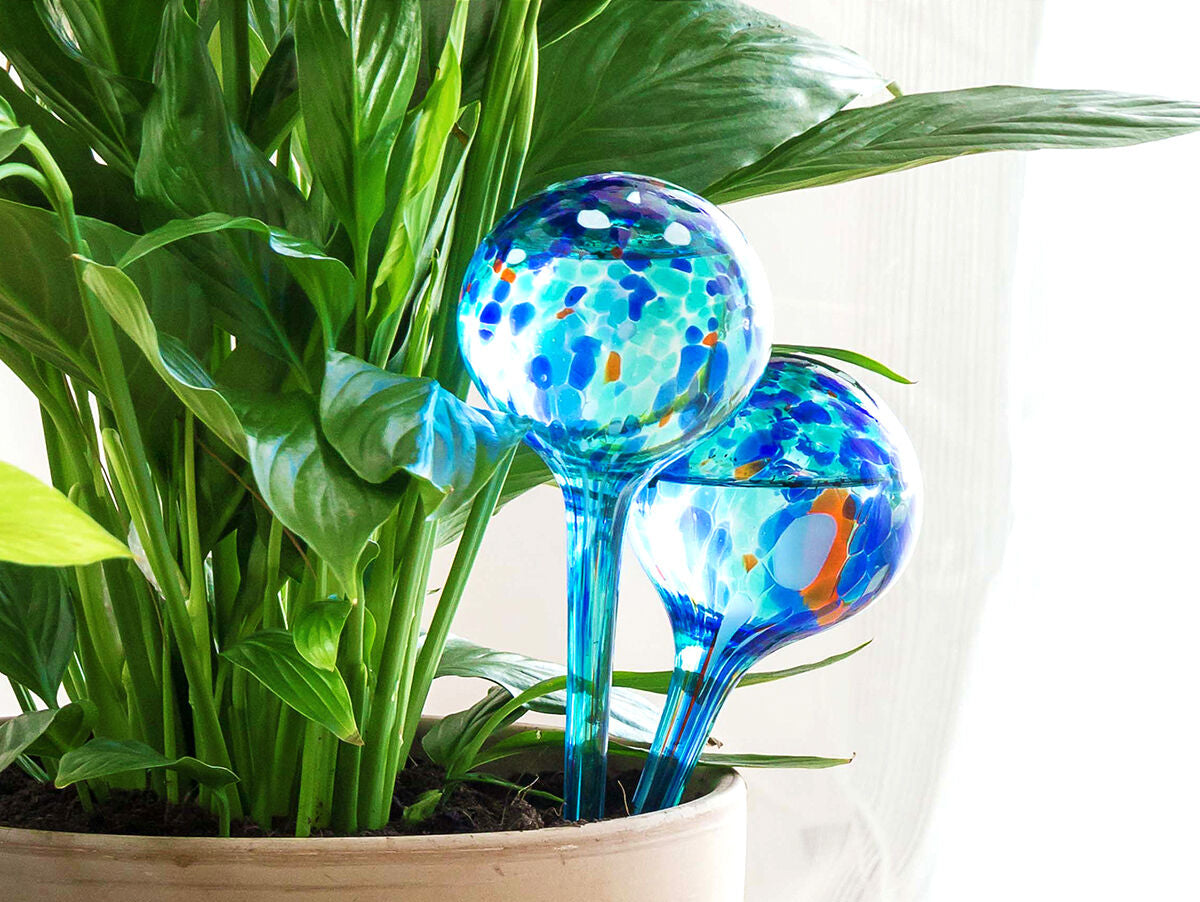 V15H9CFD3F0980B0D914F2DC8F2EBD70D5C8R5276034P1