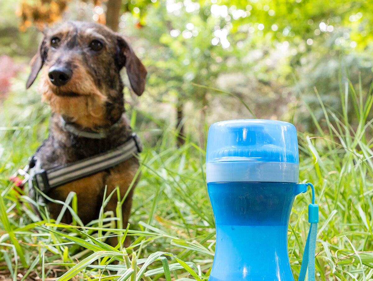 V15H0D0C11A4389511B93B849DCECFEE9F66R5274964P1