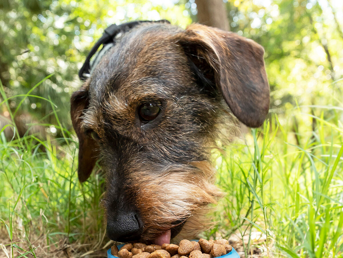 V15H1E67F516BB6B15CE28D13DD96F5987FFR5274966P3