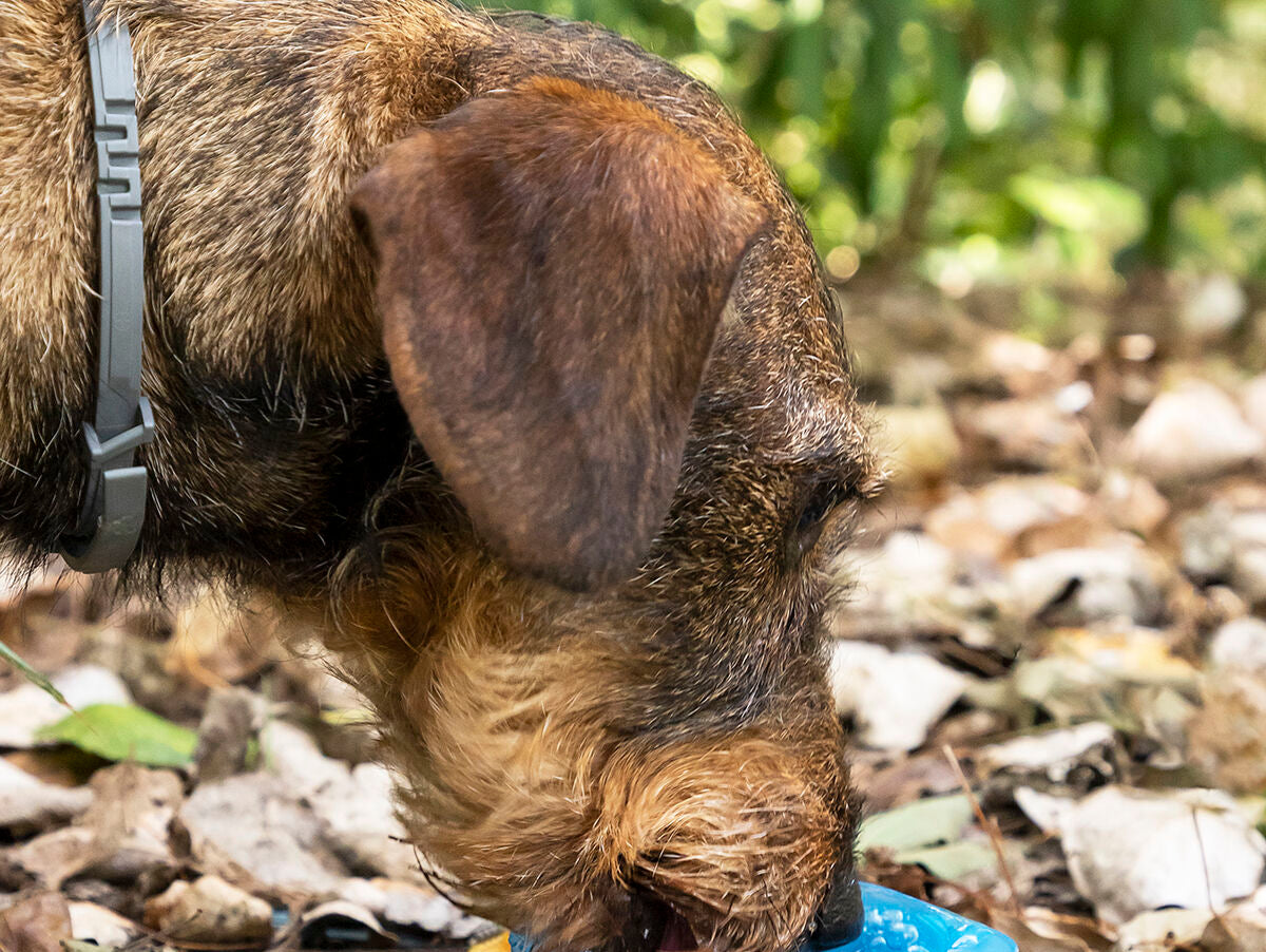 V15H33C011345958907CB41BFB483BDE5469R5274967P4