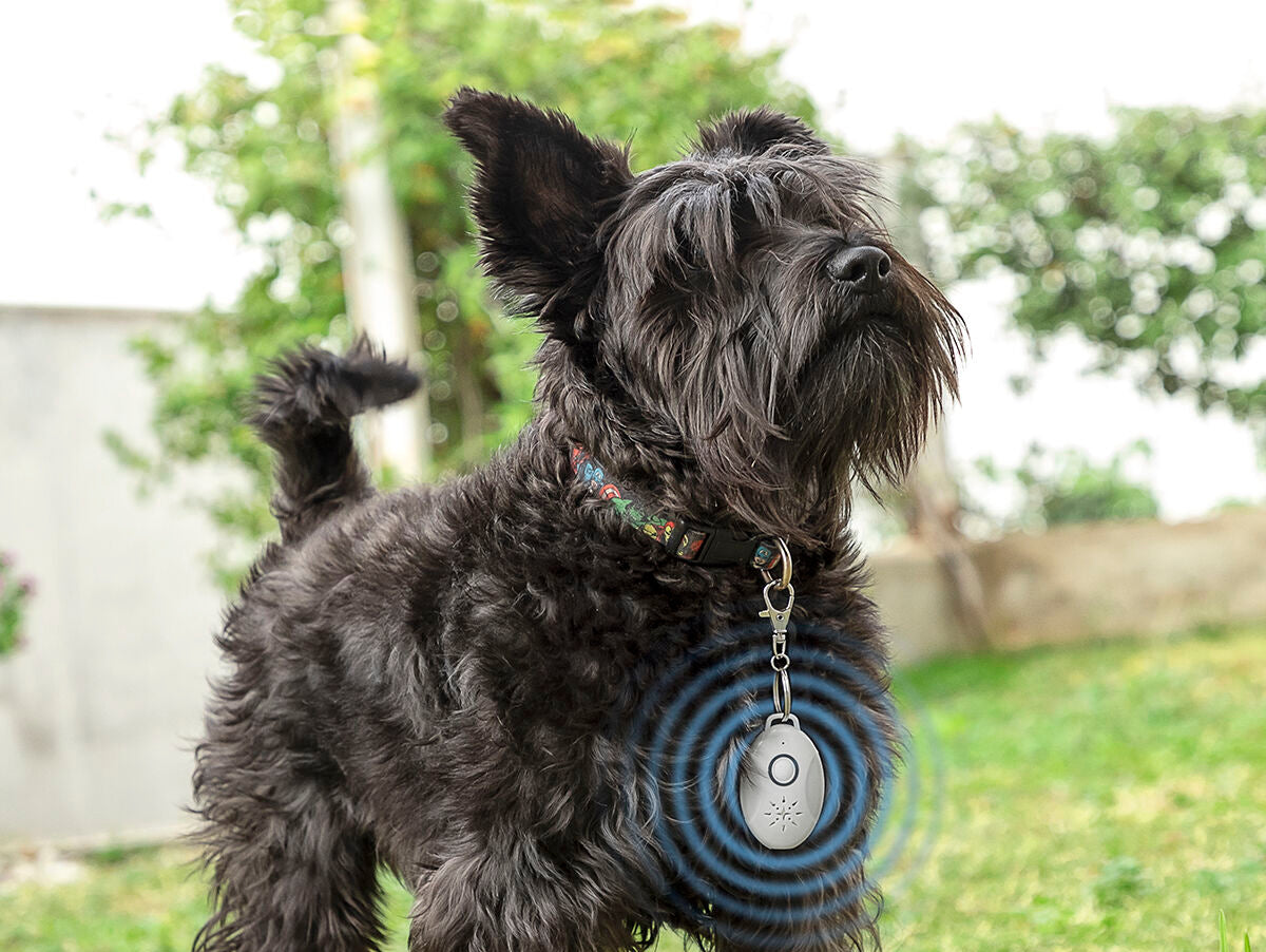 V15H80A60F9AE93B4D3D7572EF465885B6D5R5434225P3