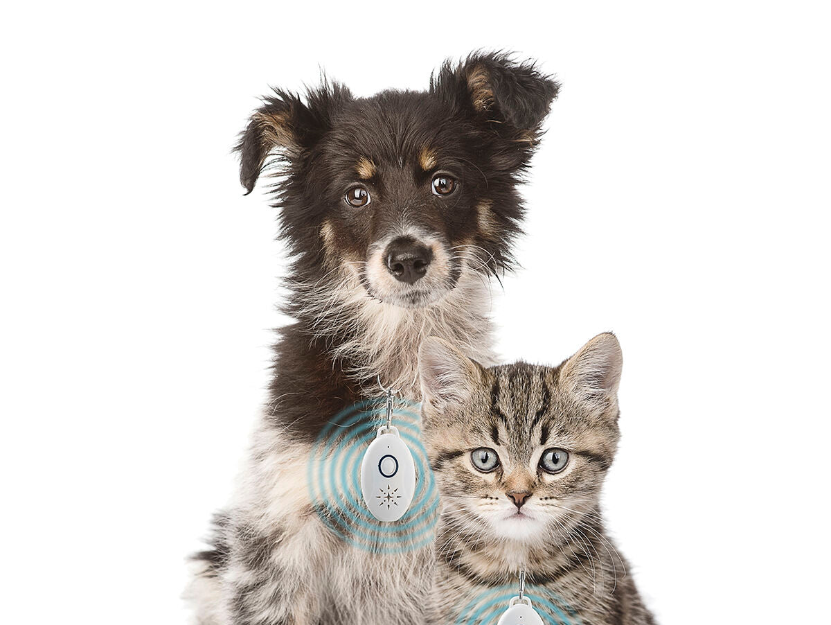 V15HE570F058A63C17078642E4F437D3D77AR5434242P8