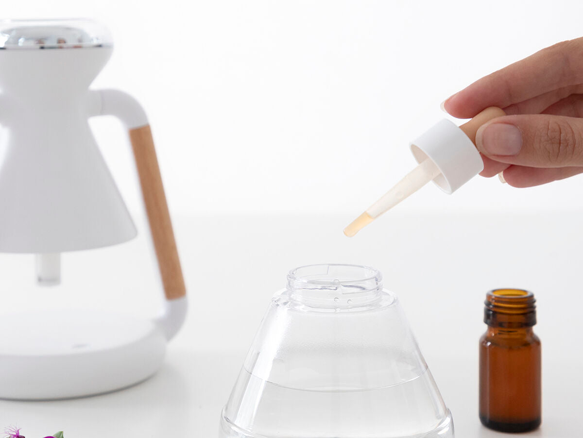 V18H9BB64A65FAE015D20BF25135DC2AD508R5434471P10