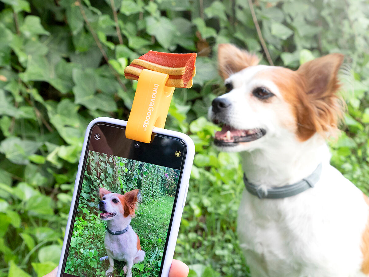 V14H84EEE8F36B073C92F454103C2771E035R5277000P1