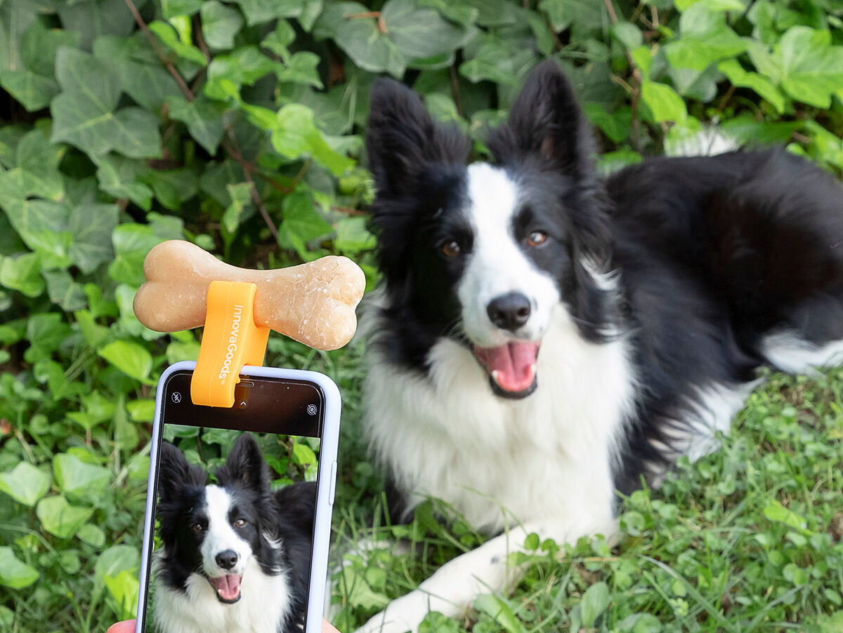 V14H69A0D25E703CB8E69660A5A3F04DBC97R5277008P5