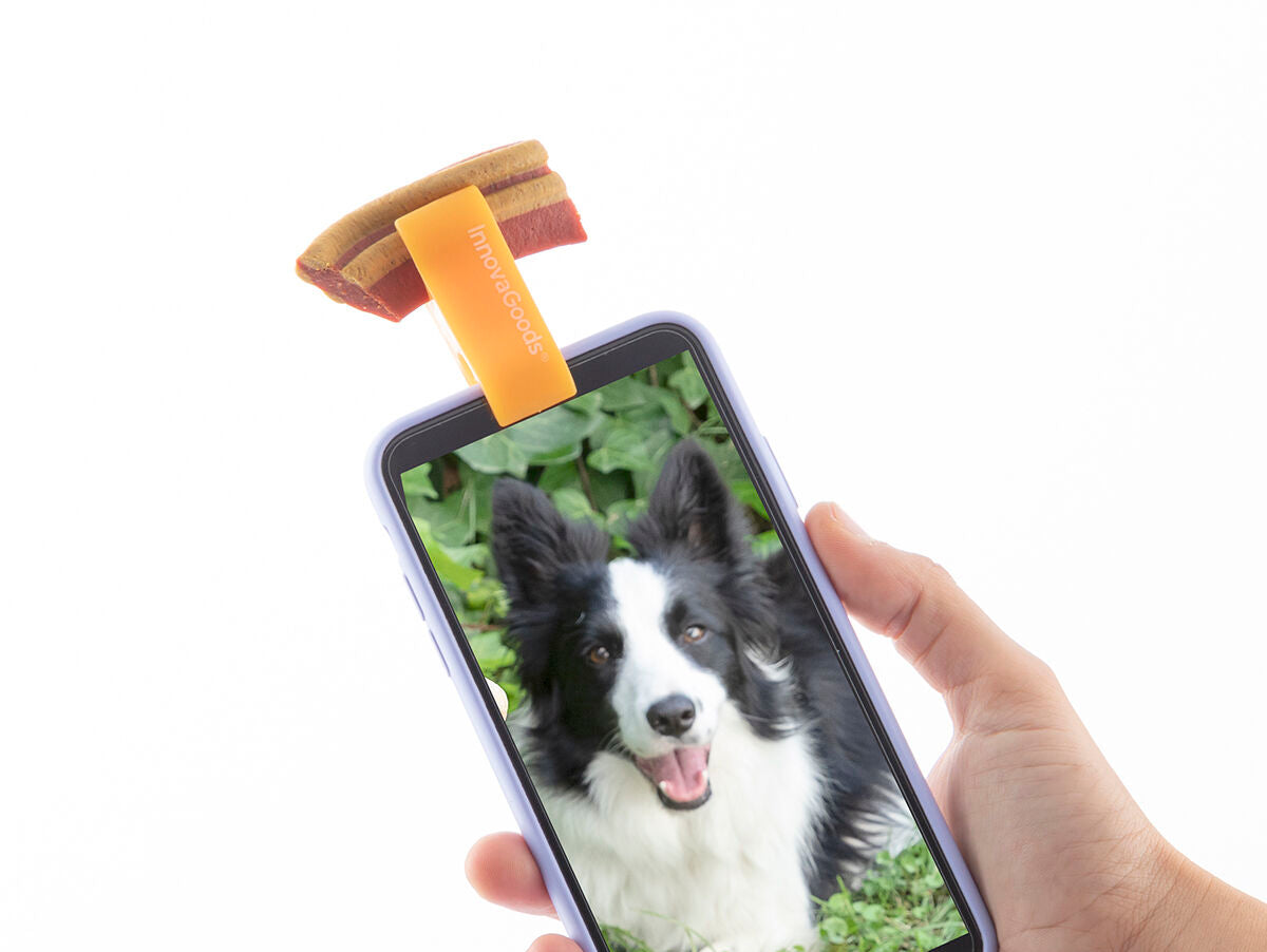 V14HA01C6B5A566C9F17F188462A37B9BF0ER5277010P6