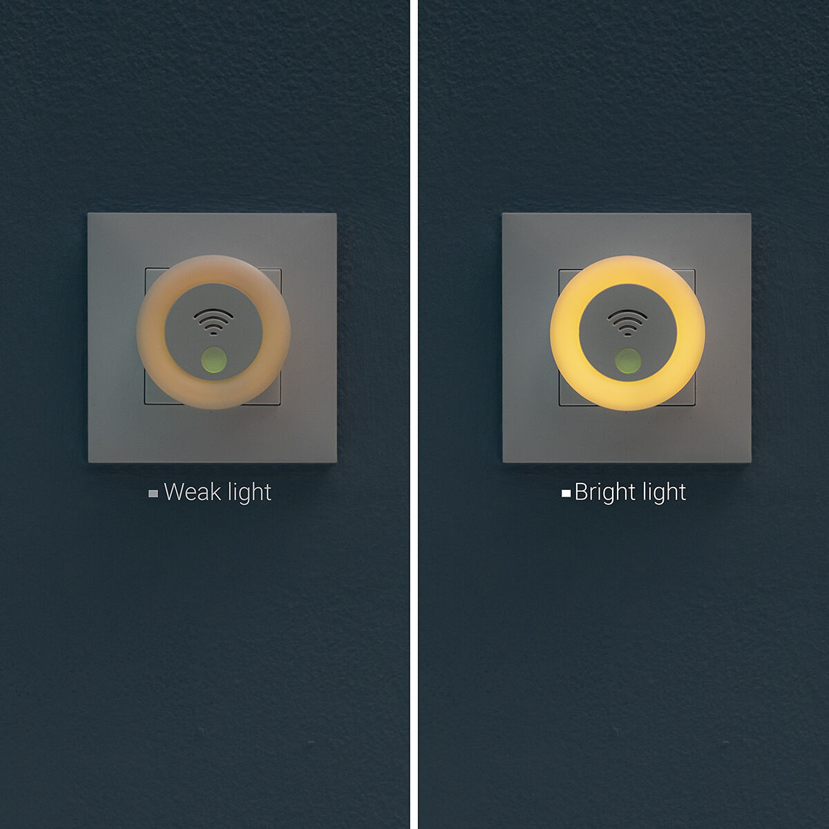 V12H29C750DC7E5C6A985DB46202275C22F4R5277702P5