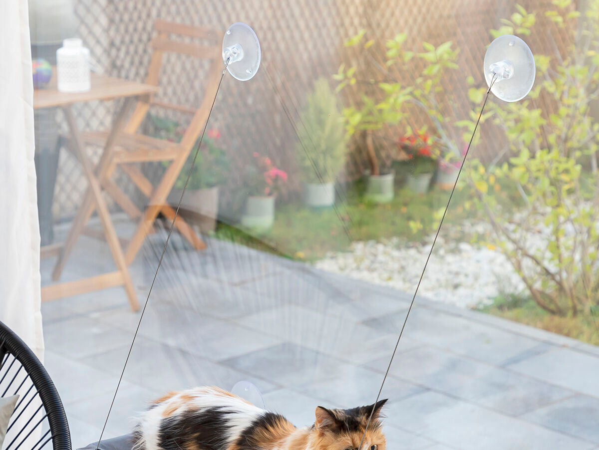 V14H9AC25F0BAB1317BFACAAA312AD790BFFR5277791P1