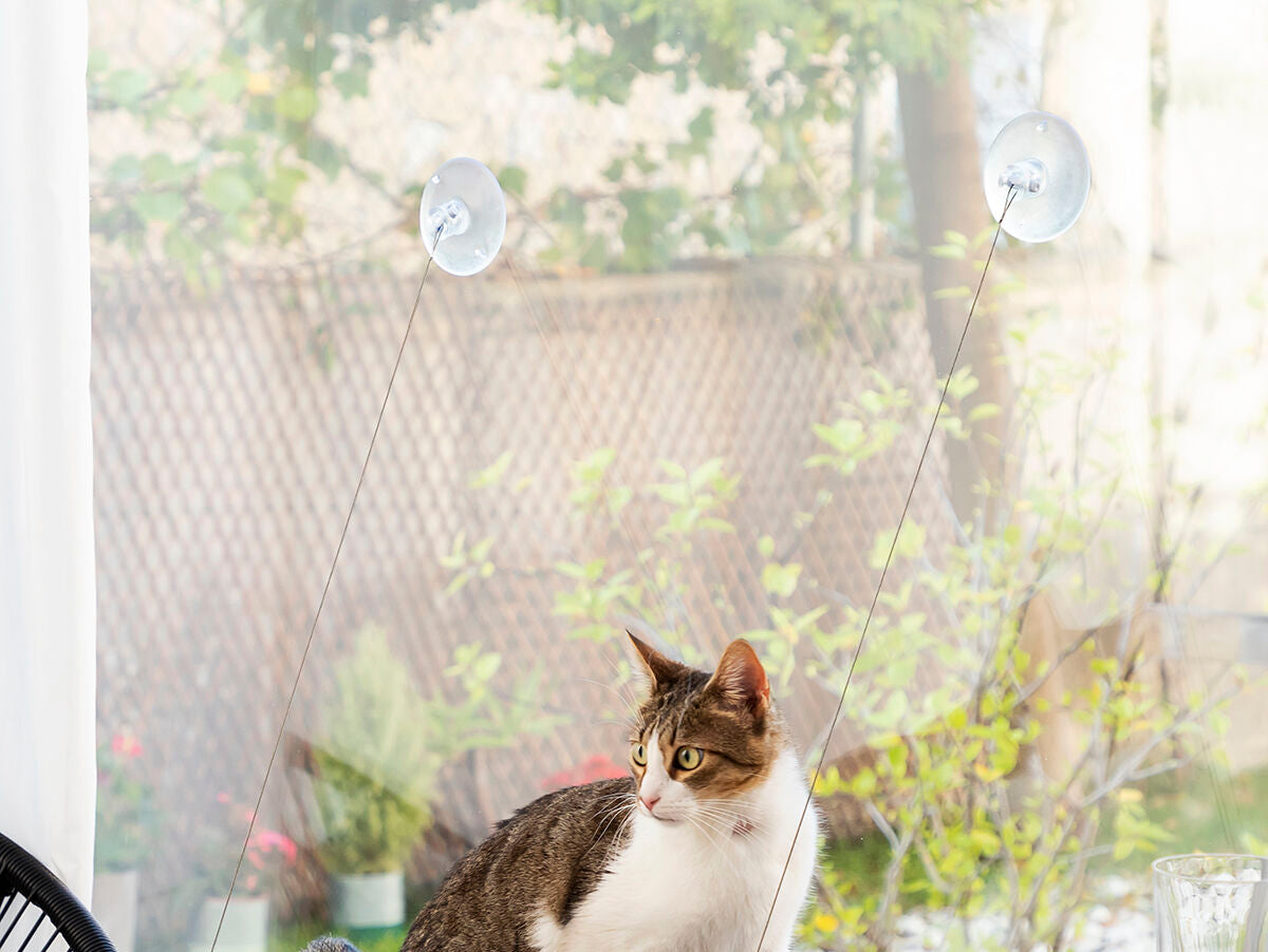 V14H744AFA908BA2ACBA4236EC410941BDD1R5277798P3