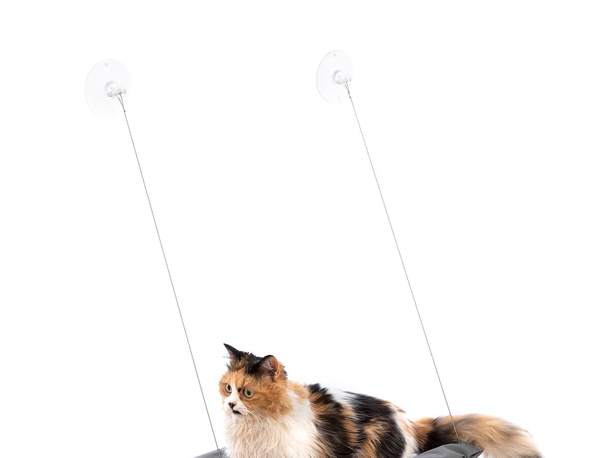 V14H5832B0A22508A990AAE2BEDE25452E73R5277816P7