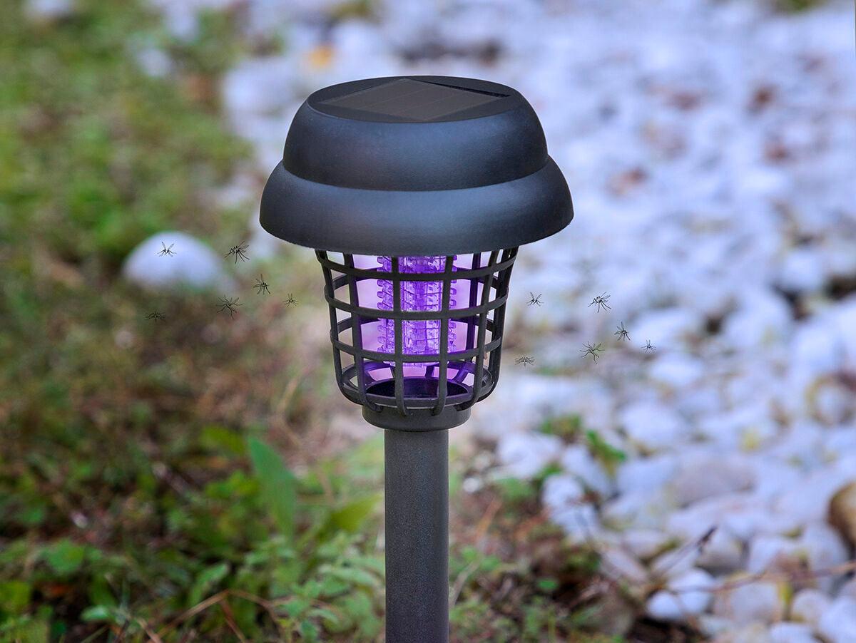 V14HF84F8C968D696FD62553D694D7E0FDF3R5434947P1