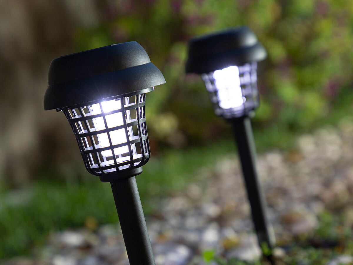 V14H24C989556DE132328C6D9ADFD4C75405R5434959P5