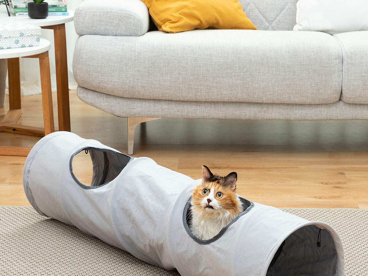 V15H38A6F58461939D24010F135DE3FBC0E1R5276426P1