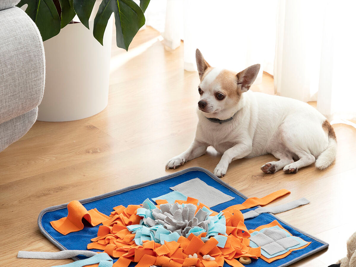 V14H373620E16E76E7EE98C90772449868D4R5257720P1