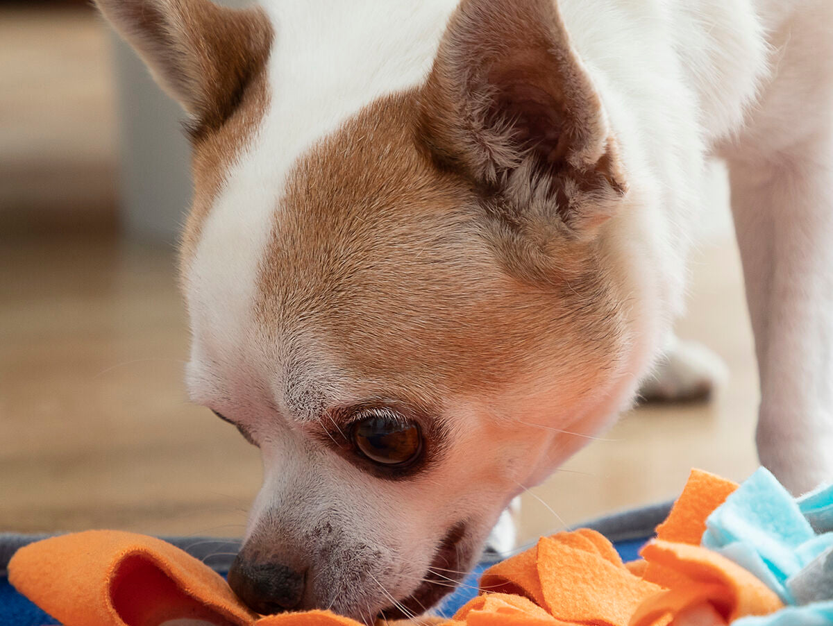 V14HDDF0A96E0680113062507D52BC7E2FD8R5257728P3