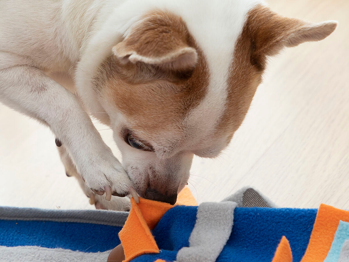 V14HDF248859FFF063C18BDA0487643207EDR5257736P5