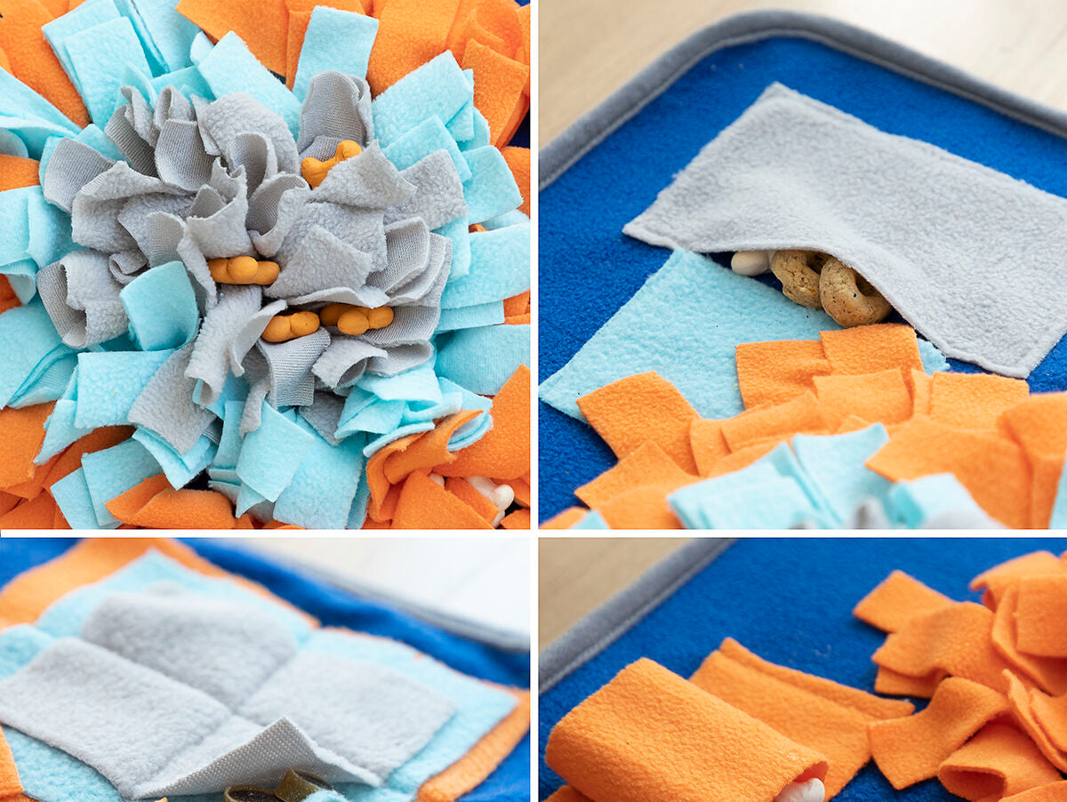 V14H4C38376C2AA5807C204D29B0B2051D4ER5257737P6