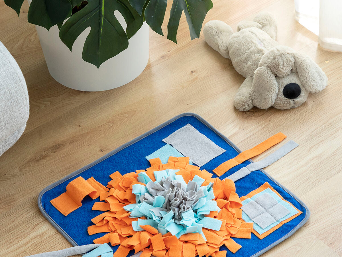 V14H19CF4494B08770B780A11B27F865CC56R5257740P7