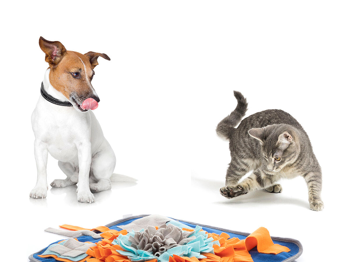 V14H8E226DBDB5E7AD8BB438CD3B4B46ED41R5257745P9