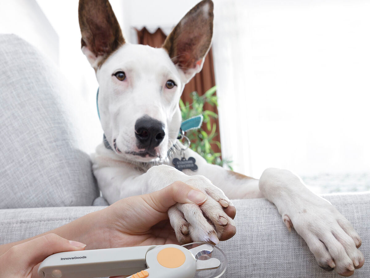 V14H22B3C32E50E2B7A3E0610B0C52E3372BR5278299P4