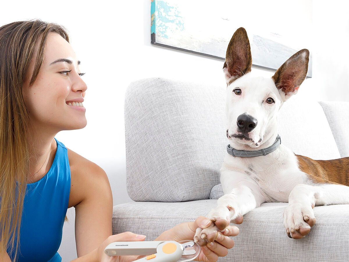 V14H5B6AEF4B48A02F2ADE5E9BC2FA392E8BR5278305P7