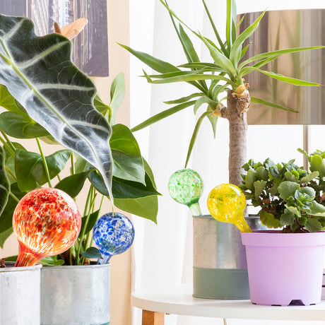 V13H342C48BFE06BBDDB73E1B167E8A3FE7AR5254348P1