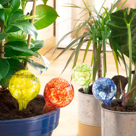 V11H89978B7BD0B0FDCA0EBFE5044E272A6CR5254324P7