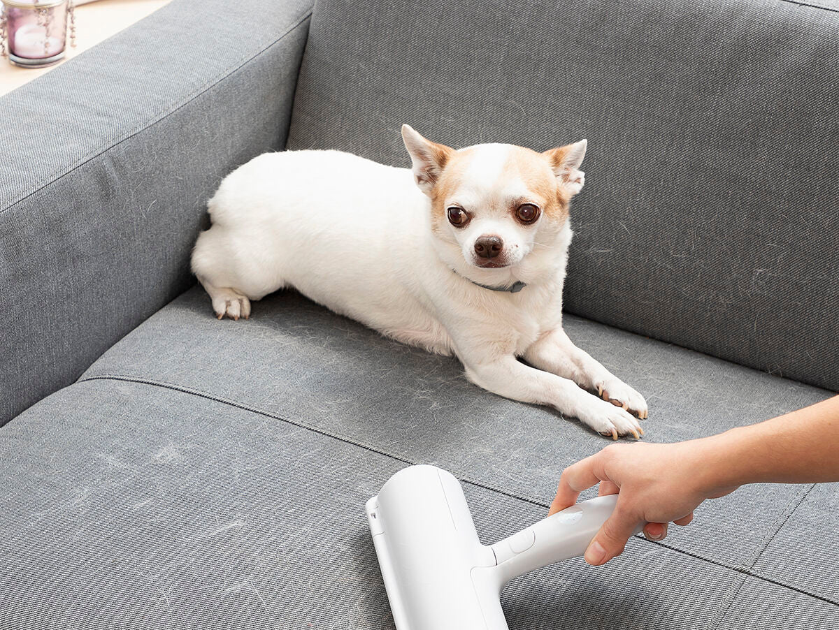 V13HC8EF5EE2494B3B0AB80977C462F5F48CR5278707P1