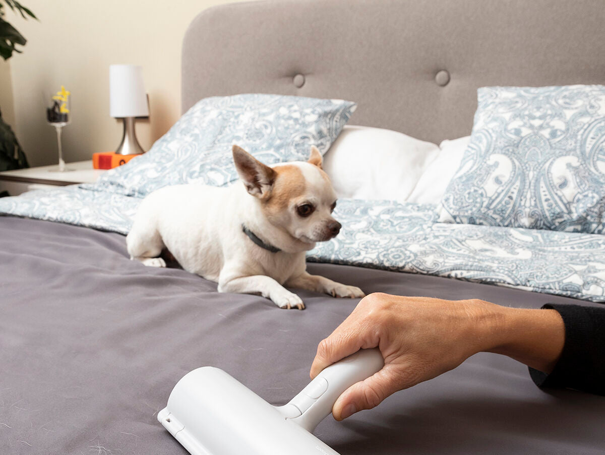 V13HC7C11723CD53E89423AC06DFEED0C7B2R5278715P4