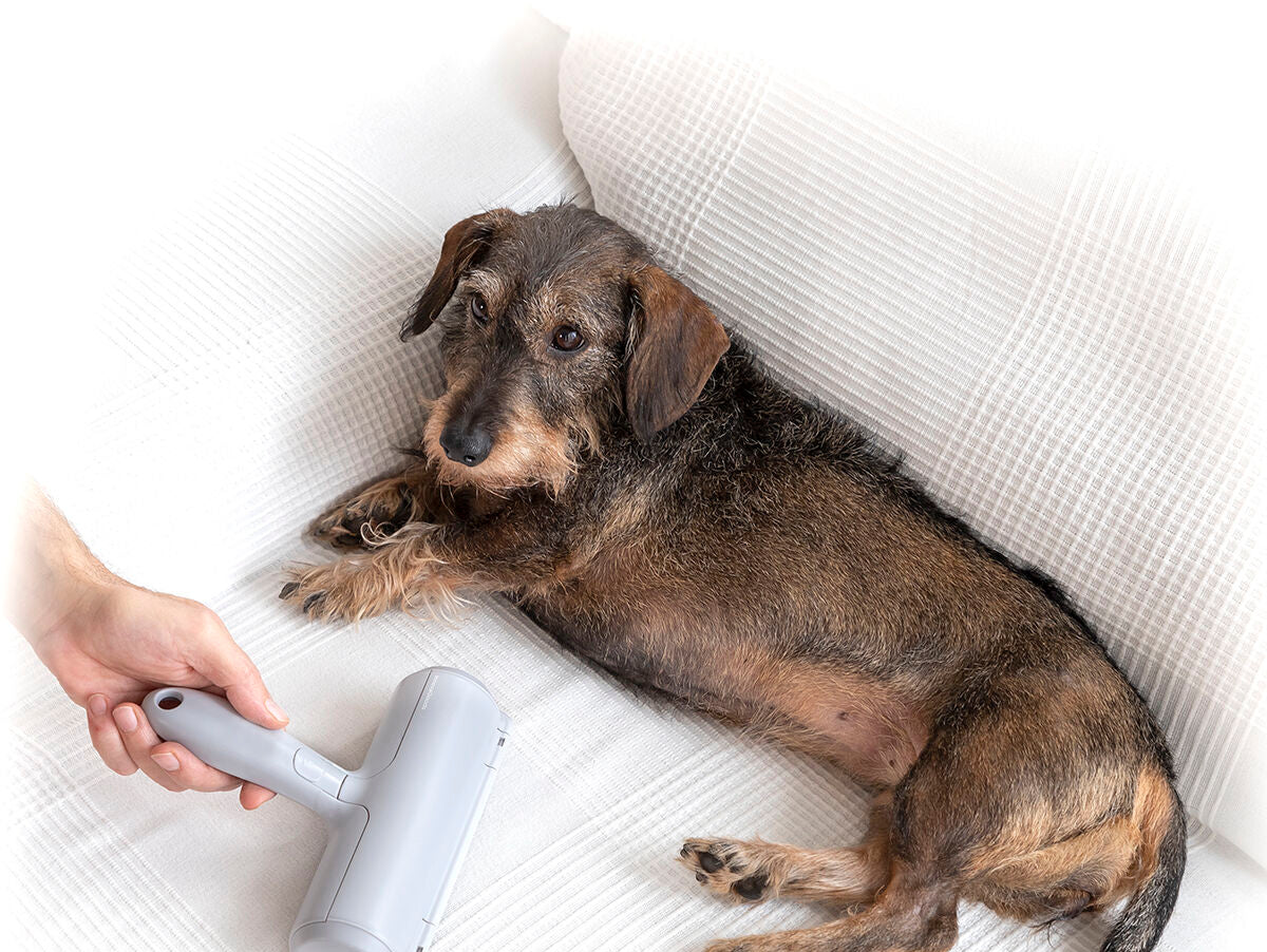 V13H9E4EA72A2DAD34591F57EECF92330E27R5278728P9