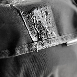 V14H4741D2615CB9169D40C9660BAD9C4BE5R5279029P7