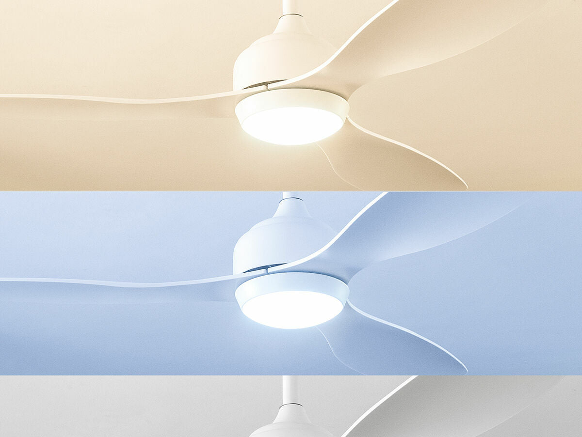 V5H23E7AD3FCD42C3A18D008FCC2C48799AR5131147P5