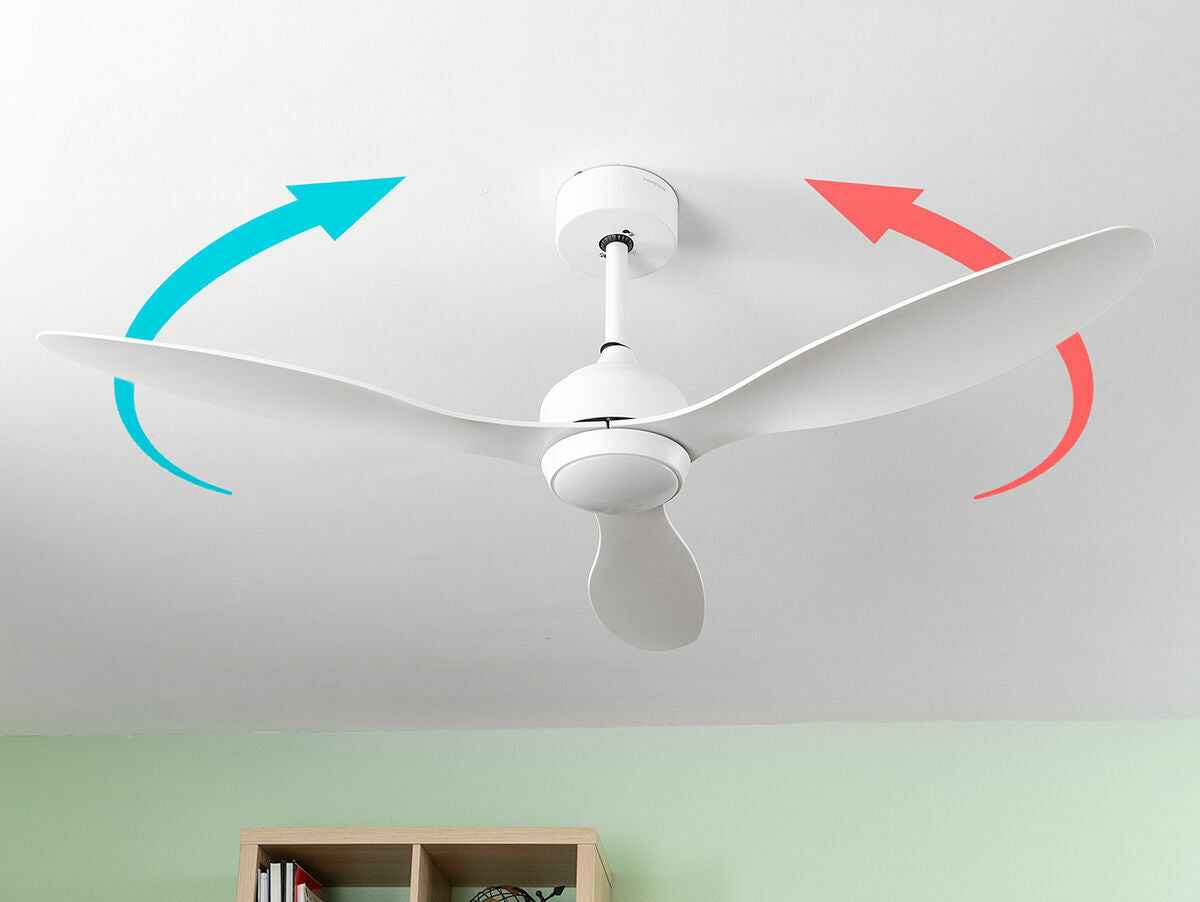 V5H6C70633F2B8C1FE4A10257E3A0E7F9C7R5131149P7